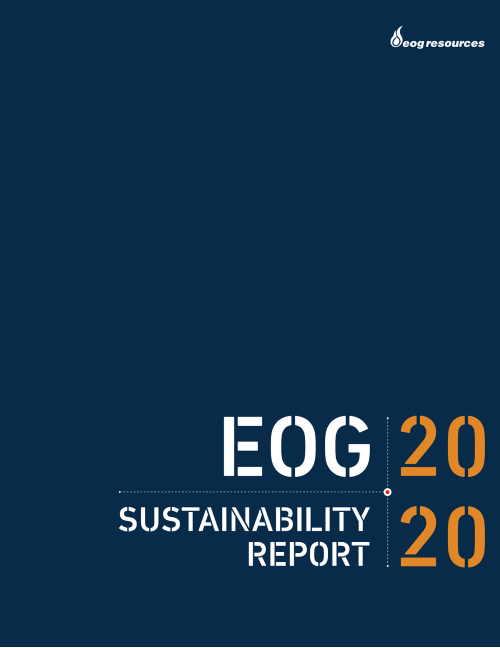 2020 Sustainability Report